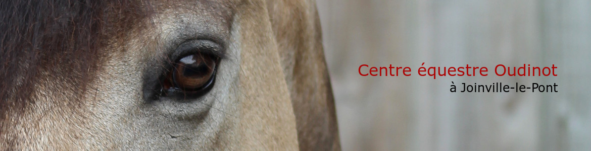 Centre équestre Oudinot
